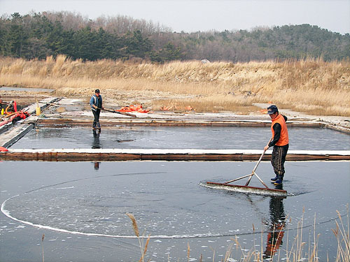 점점 줄어들고 있지만 아직도 소금창고와 염전이 있습니다. 정제가 안 된 건강한 천연소금을 판매도 합니다. 